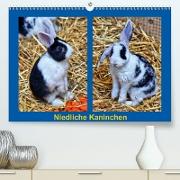 Niedliche Kaninchen (Premium, hochwertiger DIN A2 Wandkalender 2021, Kunstdruck in Hochglanz)