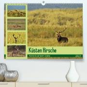 Küsten Hirsche - Rotwild auf dem Darss (Premium, hochwertiger DIN A2 Wandkalender 2021, Kunstdruck in Hochglanz)