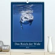 Im Reich der Wale (Premium, hochwertiger DIN A2 Wandkalender 2021, Kunstdruck in Hochglanz)