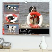 Landseer - Das Wasser ist ihr Element (Premium, hochwertiger DIN A2 Wandkalender 2021, Kunstdruck in Hochglanz)