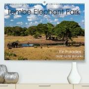Tembe Elephant Park. Ein Paradies - nicht nur für Elefanten (Premium, hochwertiger DIN A2 Wandkalender 2021, Kunstdruck in Hochglanz)