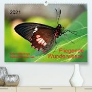 Fliegende Wunderwesen. Schmetterlinge weltweit, ganz nah (Premium, hochwertiger DIN A2 Wandkalender 2021, Kunstdruck in Hochglanz)