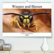 Faszination Makrofotografie: Wespen und Bienen (Premium, hochwertiger DIN A2 Wandkalender 2021, Kunstdruck in Hochglanz)