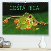 COSTA RICA - Tierische Momente (Premium, hochwertiger DIN A2 Wandkalender 2021, Kunstdruck in Hochglanz)