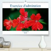 Exercice d'admiration (Premium, hochwertiger DIN A2 Wandkalender 2021, Kunstdruck in Hochglanz)