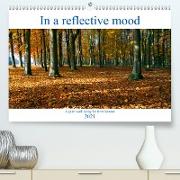 In a reflective mood (Premium, hochwertiger DIN A2 Wandkalender 2021, Kunstdruck in Hochglanz)