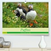 Puffins - small birds very big (Premium, hochwertiger DIN A2 Wandkalender 2021, Kunstdruck in Hochglanz)