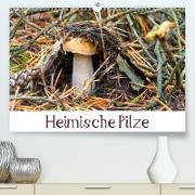 Heimische Pilze (Premium, hochwertiger DIN A2 Wandkalender 2021, Kunstdruck in Hochglanz)