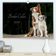 Border Collies 2021 (Premium, hochwertiger DIN A2 Wandkalender 2021, Kunstdruck in Hochglanz)