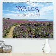 WALES Skomer Island (Premium, hochwertiger DIN A2 Wandkalender 2021, Kunstdruck in Hochglanz)