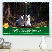 Weiße Schäferhunde in schönen Landschaften (Premium, hochwertiger DIN A2 Wandkalender 2021, Kunstdruck in Hochglanz)