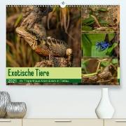 Exotische Tiere im Tropenhaus Klein Eden in Tettau (Premium, hochwertiger DIN A2 Wandkalender 2021, Kunstdruck in Hochglanz)