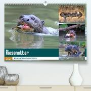Riesenotter - Flusswölfe im Pantanal (Premium, hochwertiger DIN A2 Wandkalender 2021, Kunstdruck in Hochglanz)