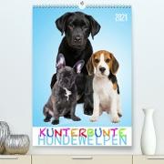 Kunterbunte Hundewelpen (Premium, hochwertiger DIN A2 Wandkalender 2021, Kunstdruck in Hochglanz)