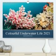 Colourful Underwater Life 2021 (Premium, hochwertiger DIN A2 Wandkalender 2021, Kunstdruck in Hochglanz)