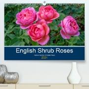 English Shrub Roses (Premium, hochwertiger DIN A2 Wandkalender 2021, Kunstdruck in Hochglanz)