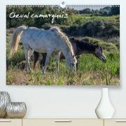 Cheval camarguais (Premium, hochwertiger DIN A2 Wandkalender 2021, Kunstdruck in Hochglanz)