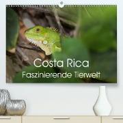 Costa Rica. Faszinierende Tierwelt (Premium, hochwertiger DIN A2 Wandkalender 2021, Kunstdruck in Hochglanz)