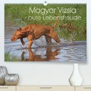 Magyar Vizsla - pure Lebensfreude (Premium, hochwertiger DIN A2 Wandkalender 2021, Kunstdruck in Hochglanz)