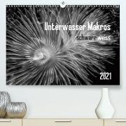Unterwasser Makros - schwarz weiss 2021 (Premium, hochwertiger DIN A2 Wandkalender 2021, Kunstdruck in Hochglanz)