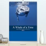 A Whale Of A Time (Premium, hochwertiger DIN A2 Wandkalender 2021, Kunstdruck in Hochglanz)