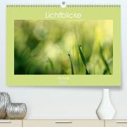 Lichtblicke im Gras (Premium, hochwertiger DIN A2 Wandkalender 2021, Kunstdruck in Hochglanz)