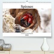 Faszination Makrofotografie: Spinnen (Premium, hochwertiger DIN A2 Wandkalender 2021, Kunstdruck in Hochglanz)