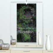 Die Eichen und Feen von Wildenstein (Premium, hochwertiger DIN A2 Wandkalender 2021, Kunstdruck in Hochglanz)