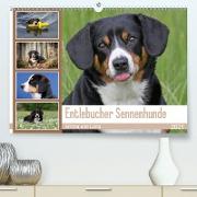 Entlebucher Sennenhunde Emma und Luna (Premium, hochwertiger DIN A2 Wandkalender 2021, Kunstdruck in Hochglanz)