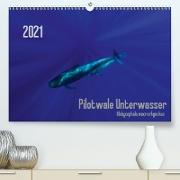 Pilotwale Unterwasser - Globicephala macrorhynchus (Premium, hochwertiger DIN A2 Wandkalender 2021, Kunstdruck in Hochglanz)