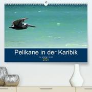 Pelikane in der Karibik - Die vielfältige Tierwelt (Premium, hochwertiger DIN A2 Wandkalender 2021, Kunstdruck in Hochglanz)