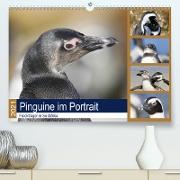 Pinguine im Portrait - Frackträger in Südafrika (Premium, hochwertiger DIN A2 Wandkalender 2021, Kunstdruck in Hochglanz)