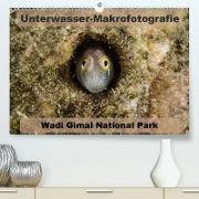 Unterwasser-Makrofotografie Wadi Gimal National Park (Premium, hochwertiger DIN A2 Wandkalender 2021, Kunstdruck in Hochglanz)