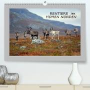 Rentiere im Hohen Norden (Premium, hochwertiger DIN A2 Wandkalender 2021, Kunstdruck in Hochglanz)