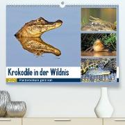 Krokodile in der Wildnis (Premium, hochwertiger DIN A2 Wandkalender 2021, Kunstdruck in Hochglanz)