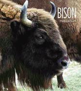 Living Wild: Bison