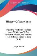 History Of Amesbury