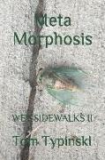 Meta Morphosis: Wet Sidewalks Two