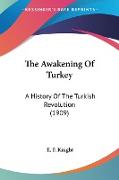 The Awakening Of Turkey