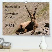 Steinwild in den Schweizer Voralpen (Premium, hochwertiger DIN A2 Wandkalender 2021, Kunstdruck in Hochglanz)