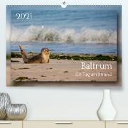 Baltrum - Ein Tag am Strand (Premium, hochwertiger DIN A2 Wandkalender 2021, Kunstdruck in Hochglanz)