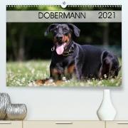 Dobermann 2021 (Premium, hochwertiger DIN A2 Wandkalender 2021, Kunstdruck in Hochglanz)