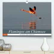 Flamingos am Chiemsee (Premium, hochwertiger DIN A2 Wandkalender 2021, Kunstdruck in Hochglanz)