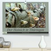 Der Hainich in Thüringen - Weltnaturerbe (Premium, hochwertiger DIN A2 Wandkalender 2021, Kunstdruck in Hochglanz)