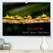 Ecuador durch meine Makrolinse (Premium, hochwertiger DIN A2 Wandkalender 2021, Kunstdruck in Hochglanz)