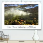 Unter Wasser in Bächen und Flüssen (Premium, hochwertiger DIN A2 Wandkalender 2021, Kunstdruck in Hochglanz)