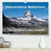 Naturerlebnis Matterhorn (Premium, hochwertiger DIN A2 Wandkalender 2021, Kunstdruck in Hochglanz)