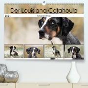 Der Louisiana Catahoula Leopard Dog (Premium, hochwertiger DIN A2 Wandkalender 2021, Kunstdruck in Hochglanz)