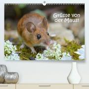 Grüsse von der Maus! (Premium, hochwertiger DIN A2 Wandkalender 2021, Kunstdruck in Hochglanz)