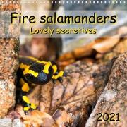 Fire salamanders - Lovely secretives (Wall Calendar 2021 300 × 300 mm Square)